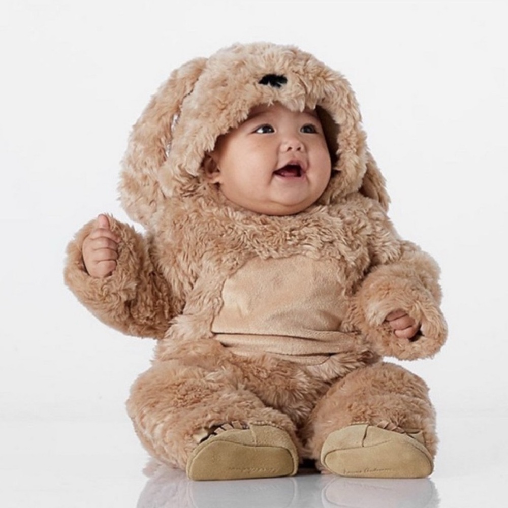 Pottery Barn Kids Doggy Costume